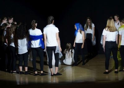 Die Schöne und das Biest (Aufführung der Theatergruppe der 7./8. Klassen - Juli 2018)