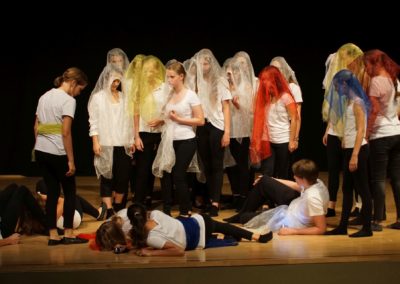 Die Schöne und das Biest (Aufführung der Theatergruppe der 7./8. Klassen - Juli 2018)