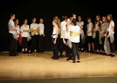 Die Schöne und das Biest (Aufführung der Theatergruppe der 7./8. Klassen - Juli 2018)