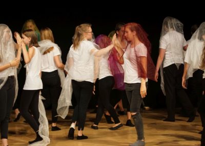 Die Schöne und das Biest (Aufführung der Theatergruppe der 7./8. Klassen - Juli 2018)