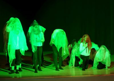 Die Schöne und das Biest (Aufführung der Theatergruppe der 7./8. Klassen - Juli 2018)