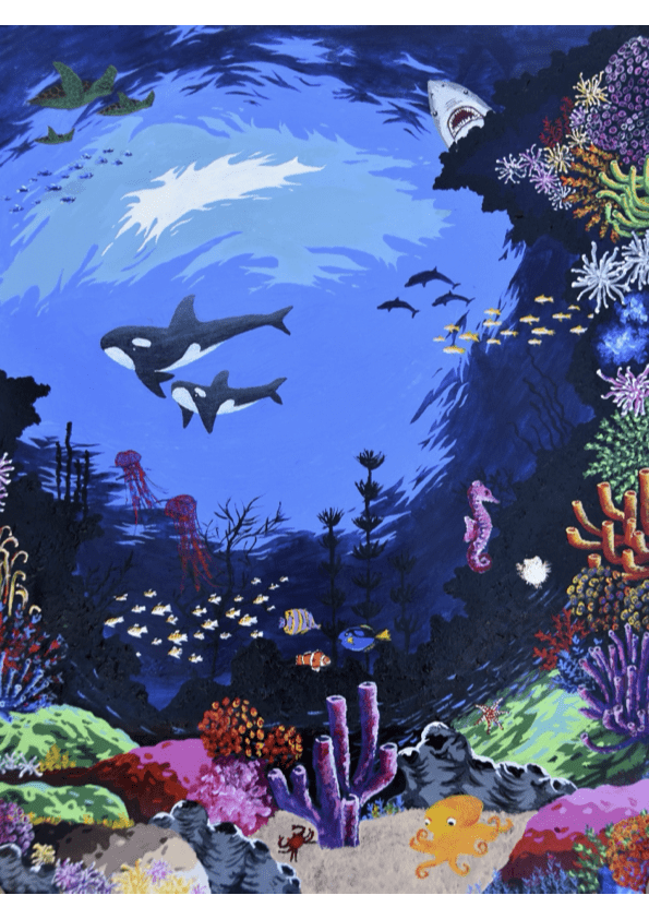 Johanna Schmutterer Q13