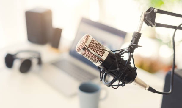 Die Demokratie-Detektive aus 5c und 5d präsentieren ihre Podcasts