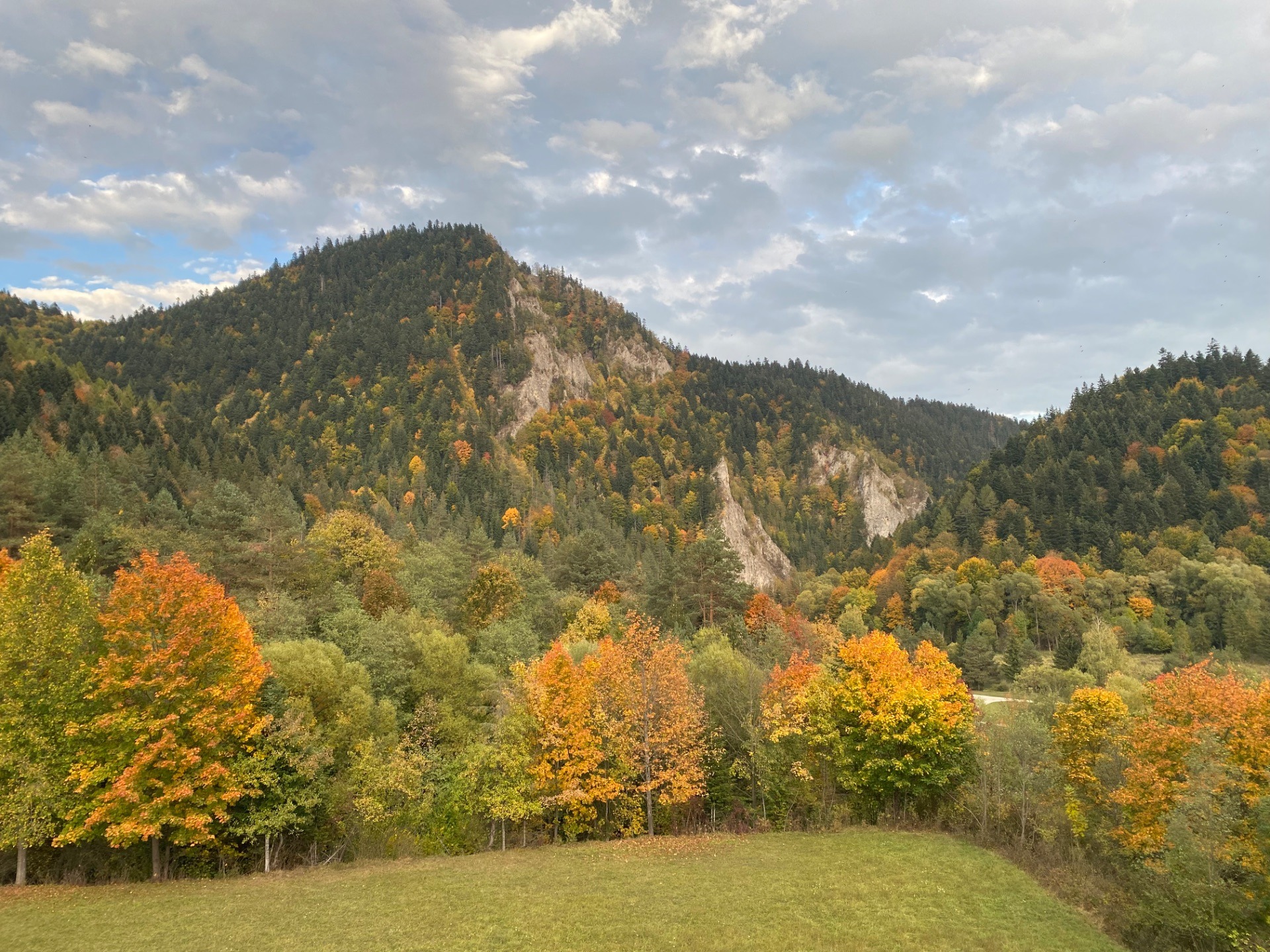 Polenaustausch-2026-5660